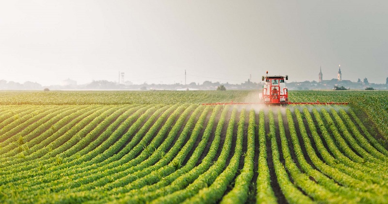 Manganese thiosulfate in agriculture